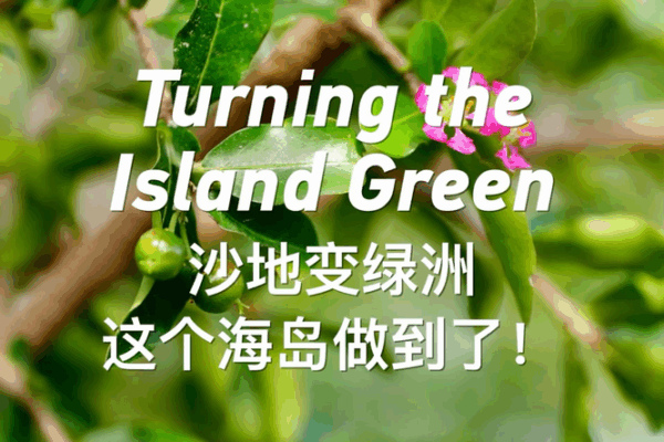 Turning the Island Green: Yongxing’s Amazing Transformation Turning the Island Green video poster