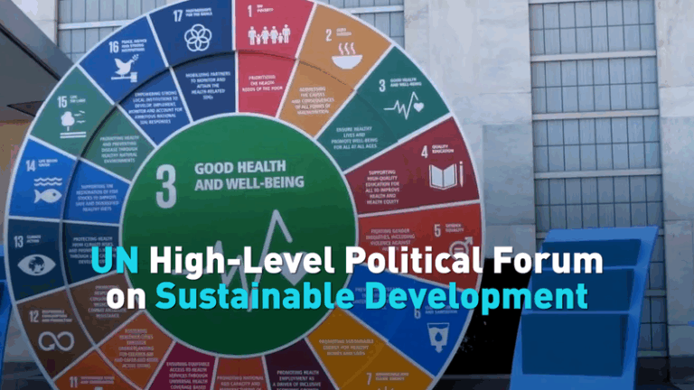 UN High-Level Political Forum on Sustainable Development video poster