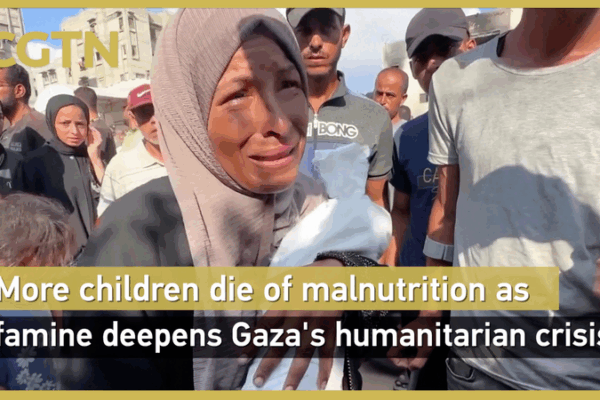 Gaza Hunger Crisis: WHO Warns of Man-Made Mass Starvation WHO says Gaza facing man-made 'mass starvation' as hunger deaths surge video poster
