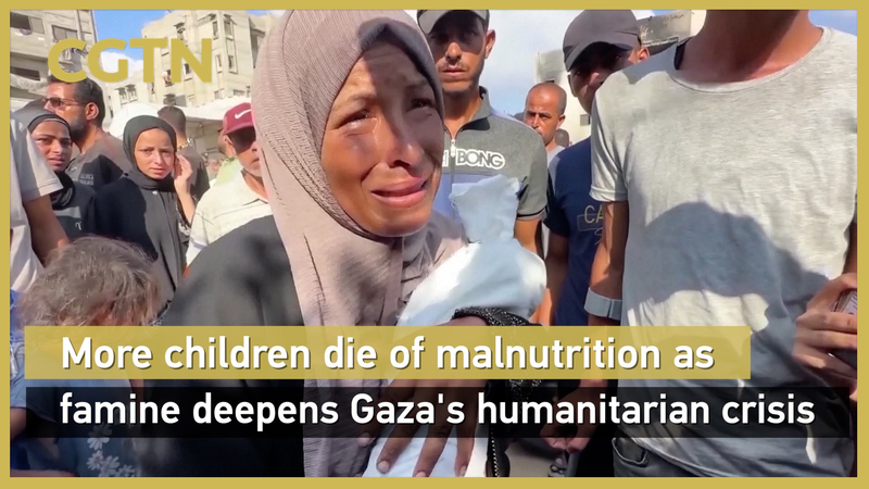 WHO_says_Gaza_facing_man-made_mass_starvation_as_hunger_deaths_surge_poster - My Global News: Young Voices WHO says Gaza facing man-made 'mass starvation' as hunger deaths surge video poster