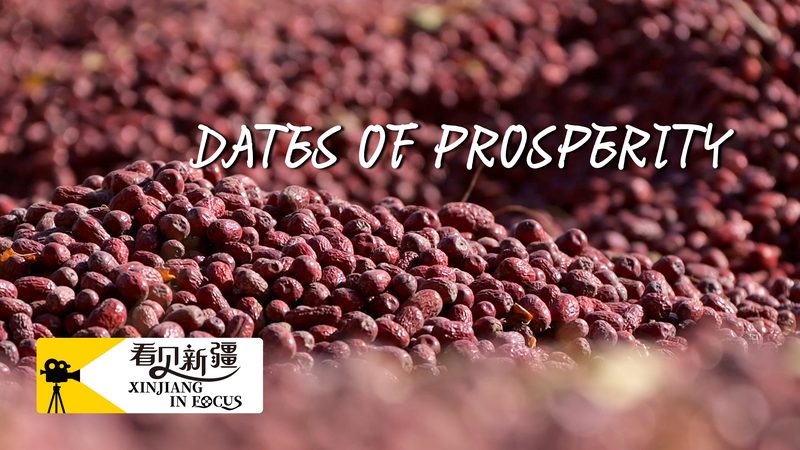 Xinjiang in focus: Dates of prosperity video poster
